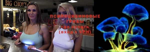 сатива Абаза
