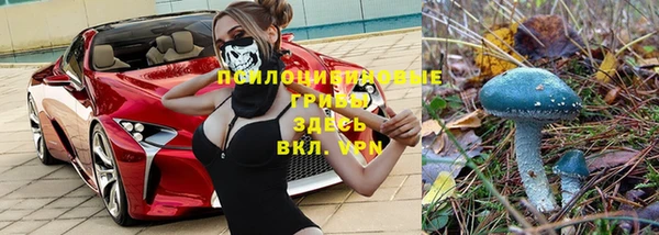 сатива Абаза